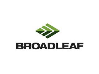 broadleaf